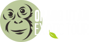orangutan exotc Tour